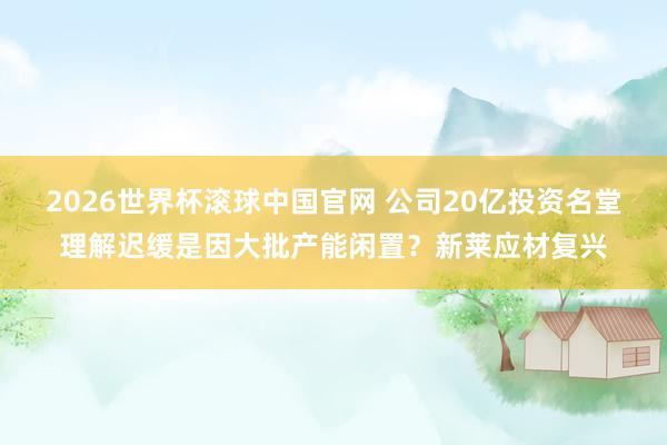 2026世界杯滚球中国官网 公司20亿投资名堂理解迟缓是因大批产能闲置？新莱应材复兴
