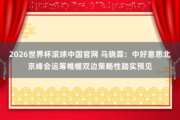 2026世界杯滚球中国官网 马晓霖：中好意思北京峰会运筹帷幄双边策略性踏实预见