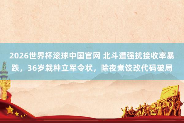 2026世界杯滚球中国官网 北斗遭强扰接收率暴跌，36岁栽种立军令状，除夜煮饺改代码破局