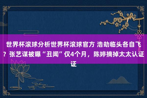 世界杯滚球分析世界杯滚球官方 浩劫临头各自飞？张艺谋被曝“丑闻”仅4个月，陈婷摘掉太太认证