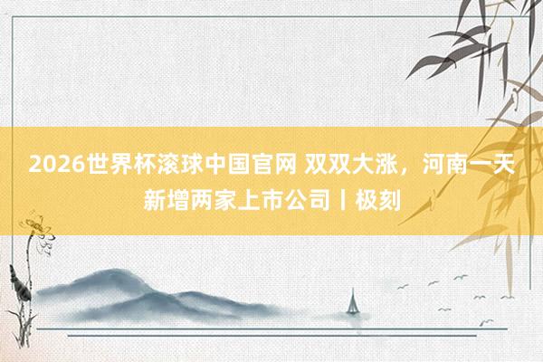 2026世界杯滚球中国官网 双双大涨，河南一天新增两家上市公司丨极刻