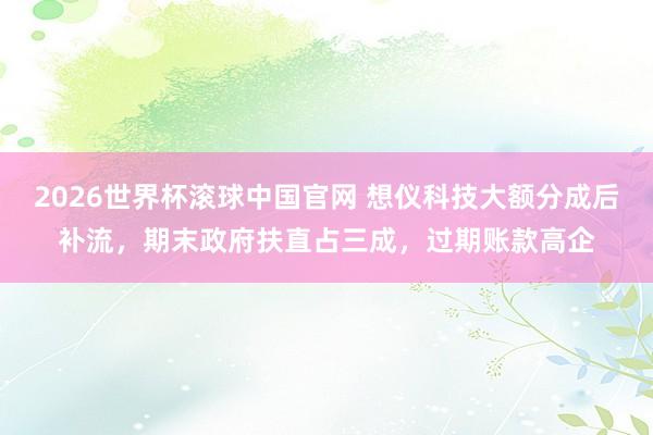 2026世界杯滚球中国官网 想仪科技大额分成后补流，期末政府扶直占三成，过期账款高企