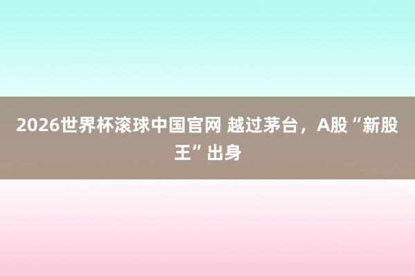 2026世界杯滚球中国官网 越过茅台，A股“新股王”出身