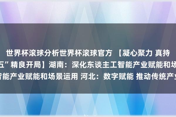 世界杯滚球分析世界杯滚球官方 【凝心聚力 真持实干 致力于结束“十五五”精良开局】湖南：深化东谈主工智能产业赋能和场景运用 河北：数字赋能 推动传统产业转型升级