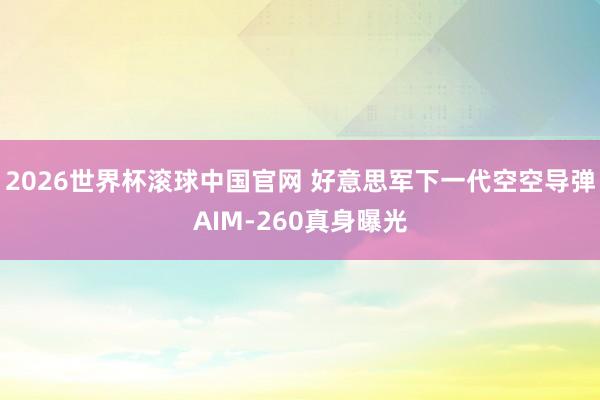2026世界杯滚球中国官网 好意思军下一代空空导弹AIM-260真身曝光