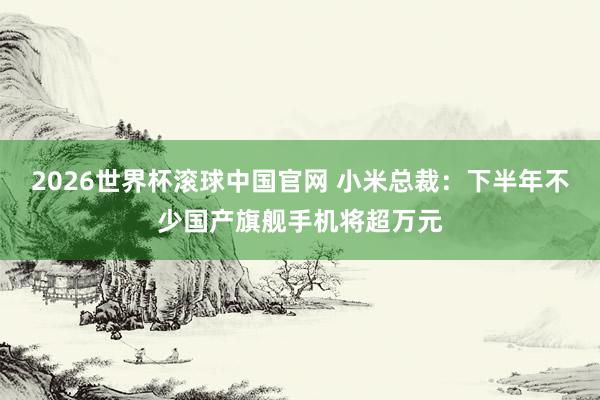 2026世界杯滚球中国官网 小米总裁：下半年不少国产旗舰手机将超万元
