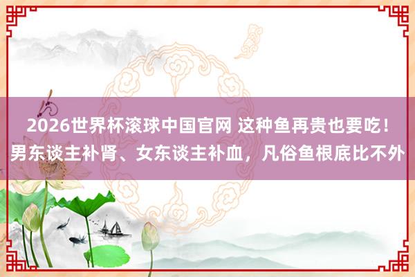 2026世界杯滚球中国官网 这种鱼再贵也要吃！男东谈主补肾、女东谈主补血，凡俗鱼根底比不外