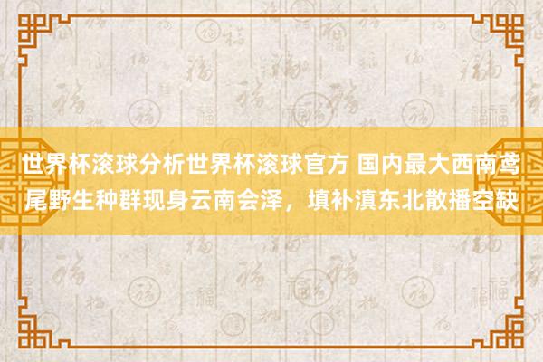 世界杯滚球分析世界杯滚球官方 国内最大西南鸢尾野生种群现身云南会泽，填补滇东北散播空缺