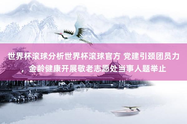 世界杯滚球分析世界杯滚球官方 党建引颈团员力，金龄健康开展敬老志愿处当事人题举止