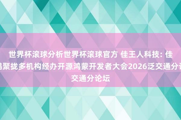 世界杯滚球分析世界杯滚球官方 佳王人科技: 佳开鸿聚拢多机构经办开源鸿蒙开发者大会2026泛交通分论坛