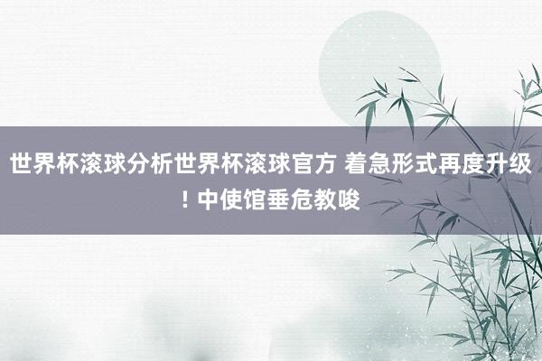 世界杯滚球分析世界杯滚球官方 着急形式再度升级! 中使馆垂危教唆