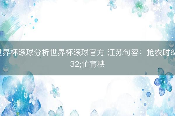 世界杯滚球分析世界杯滚球官方 江苏句容：抢农时 忙育秧