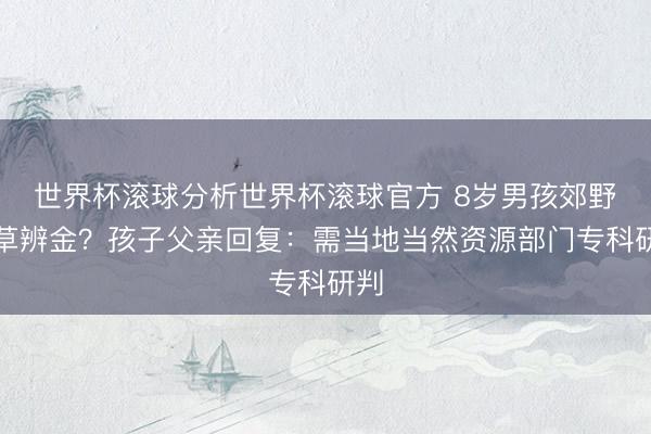 世界杯滚球分析世界杯滚球官方 8岁男孩郊野识草辨金？孩子父亲回复：需当地当然资源部门专科研判