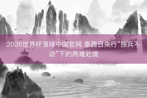2026世界杯滚球中国官网 泰西日央行“按兵不动”下的两难处境
